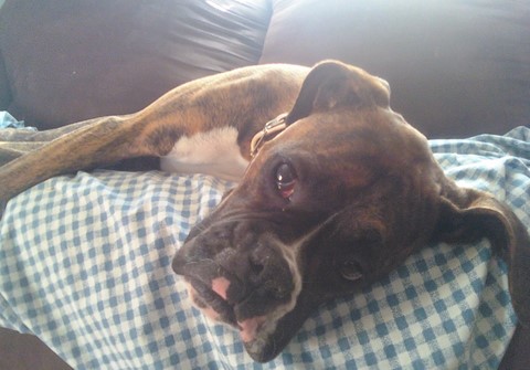 naptime