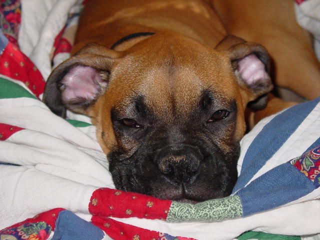 Naptime