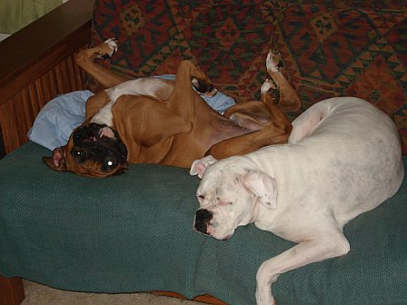 naptime1