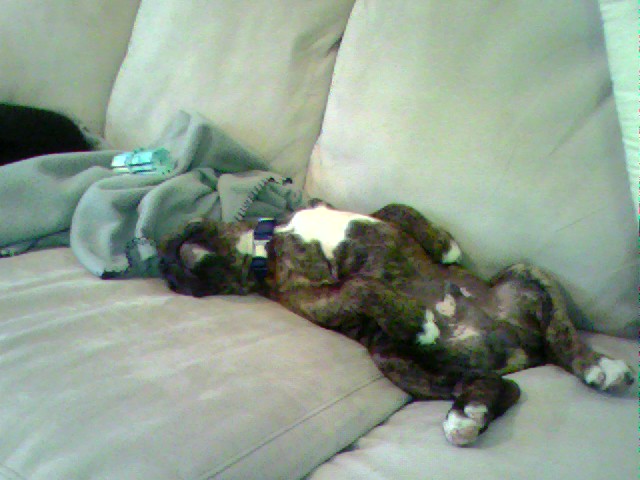 naptime6