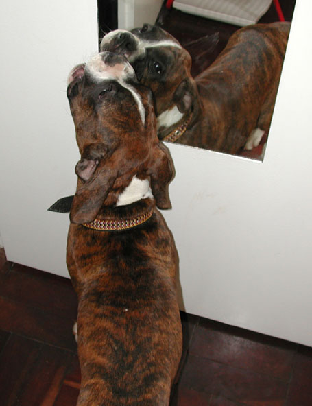 Narcissistic , me ? ......naaah