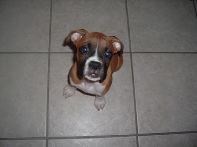 Nearly 10 weeks old