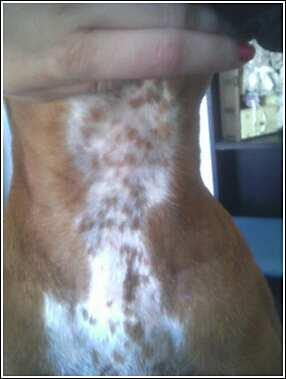 Neck Spots?!