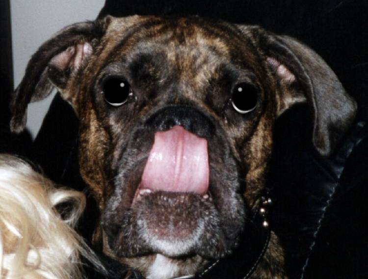 Neener Neener Neeeeener!