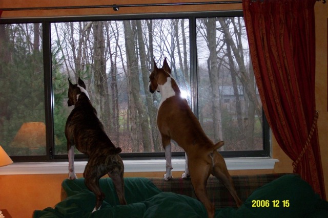 Neighborhood Watch Trainees