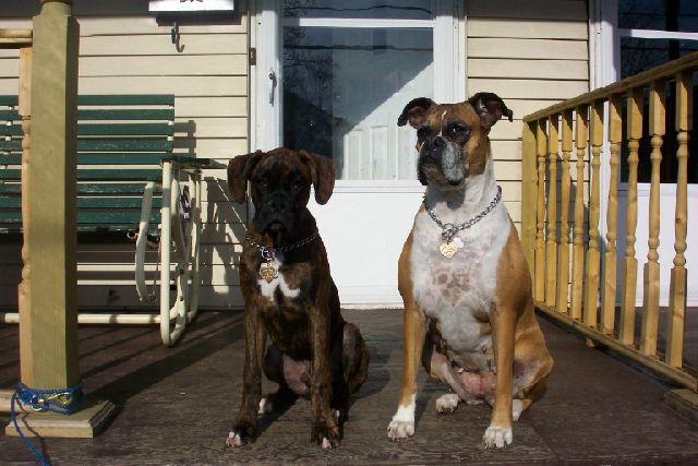 Neighborhood Watch