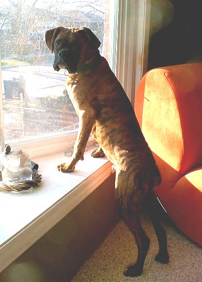 neighbourhood watch