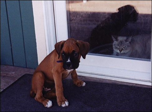 Nelly - Wanting inside!