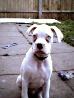 Neon at 12 week's old