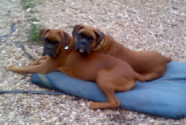Nero & Cooper