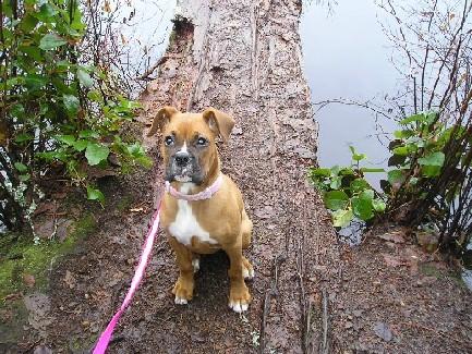 Nervously Sitting On The Log