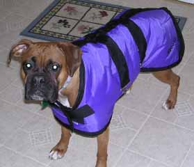Nessa in her new coat