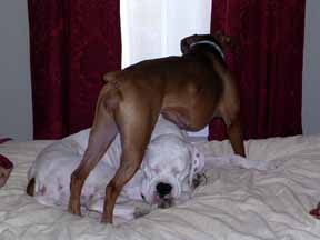 Nessa trying to dominate Finn while he sleeps - its the only time she can :