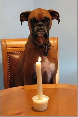 Nestle's 6th birthday