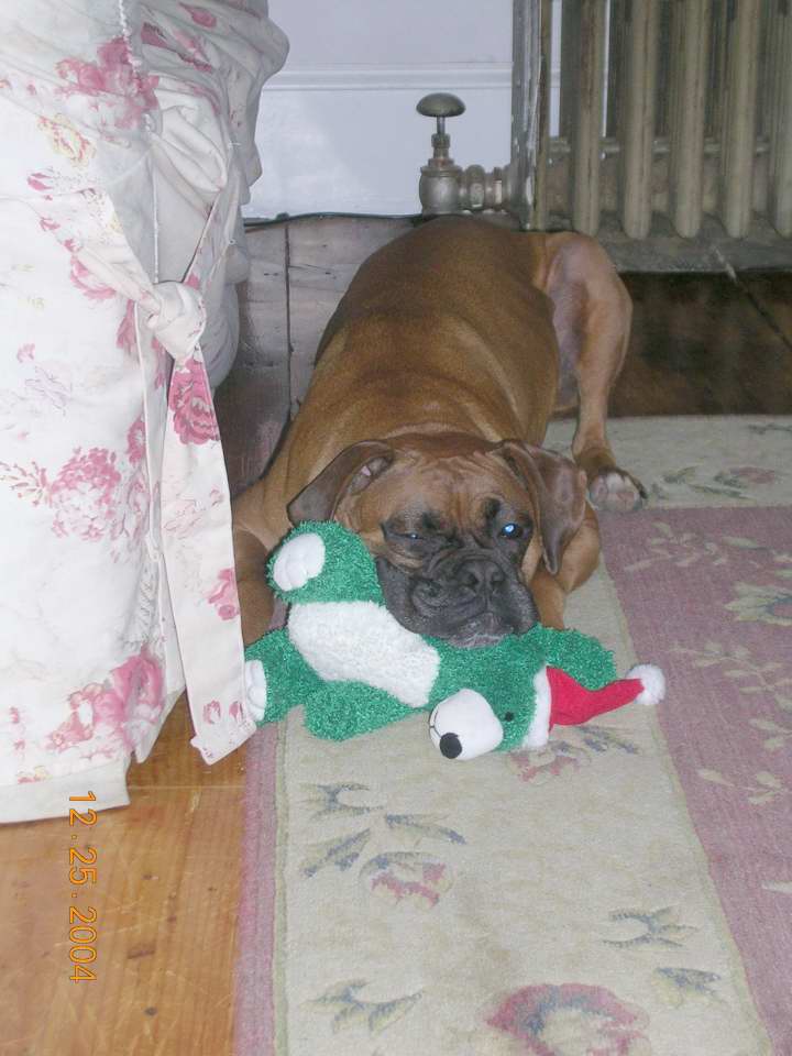 nesxmassleep