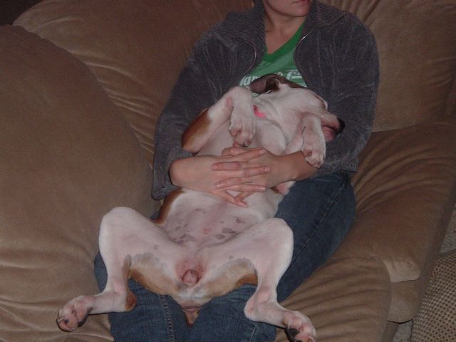 Never has been very ladylike