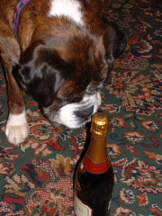 NEVER TOUCH THE STUFF.....