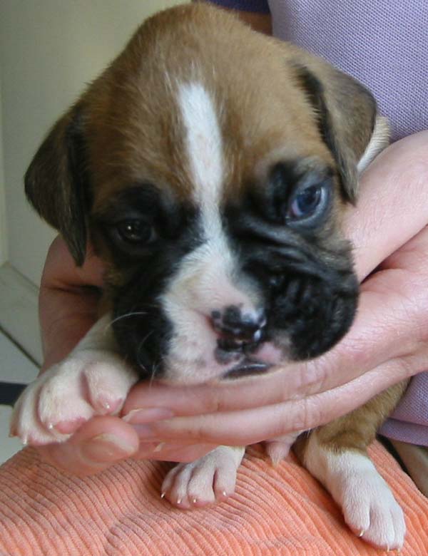 New Baby! 3 weeks old