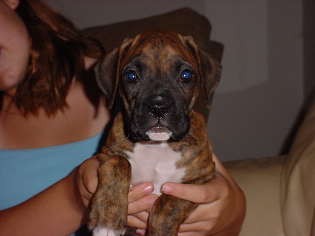New baby Baron