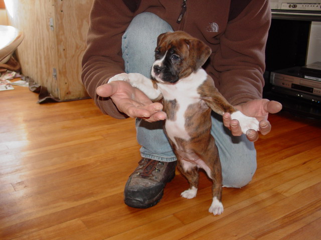new baby girl