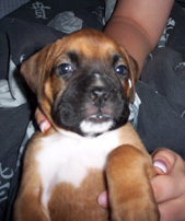 new baby