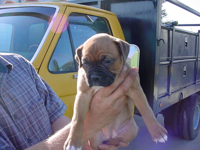 New Baby