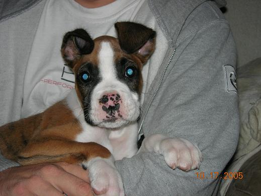 New Baby