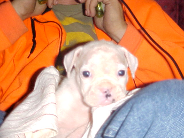 New baby