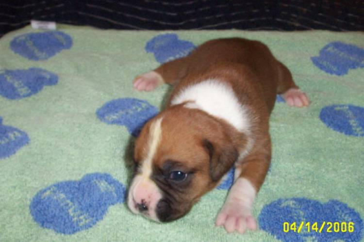 new baby