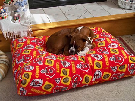 New Bed