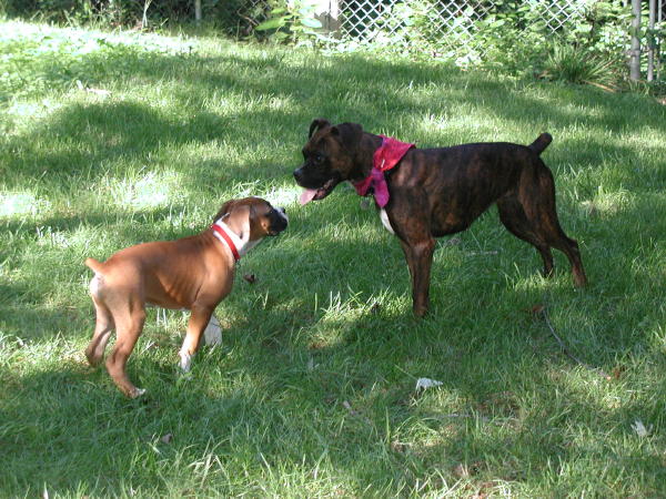 New Best Buds