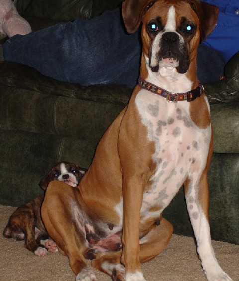 New Best Friend and SISTER