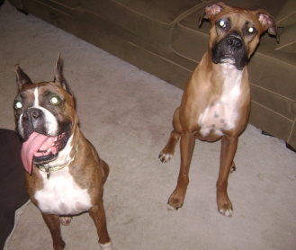 New Bro and Sis