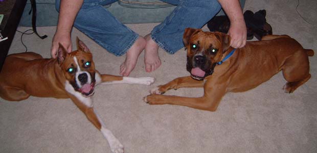 New buddies?