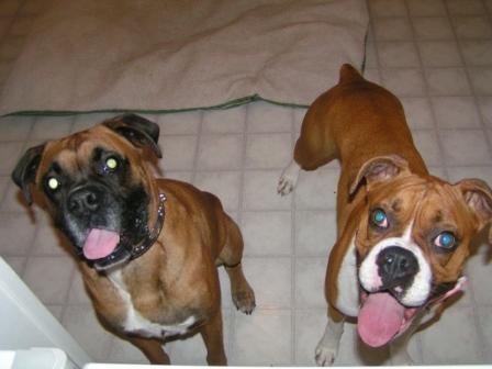 New buddies