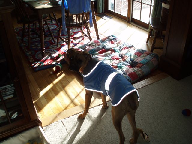new coat