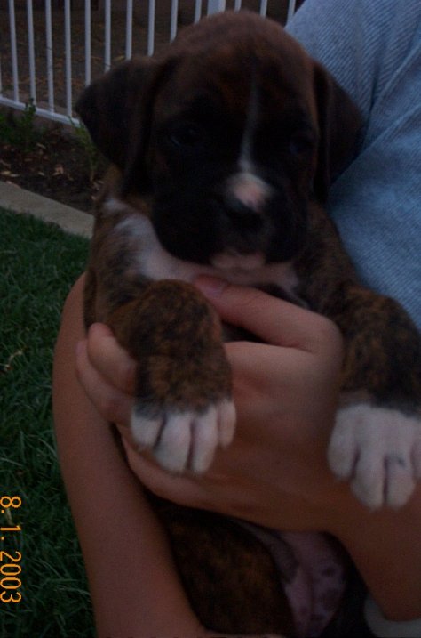 New Courage at 6 weeks