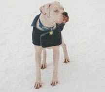 New Fleece Coat