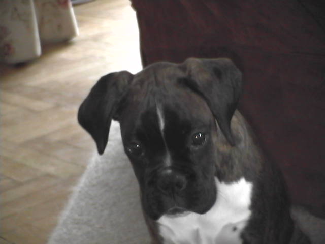 New friend Willow