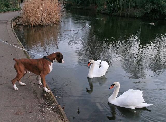 New friends? Maybe not...