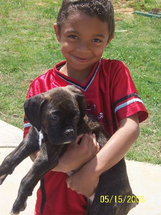 New little brother
