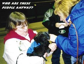 New Puppy Attraction