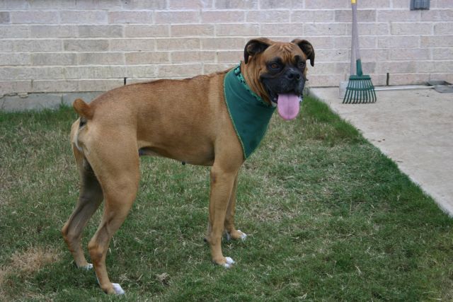 New rescue boy