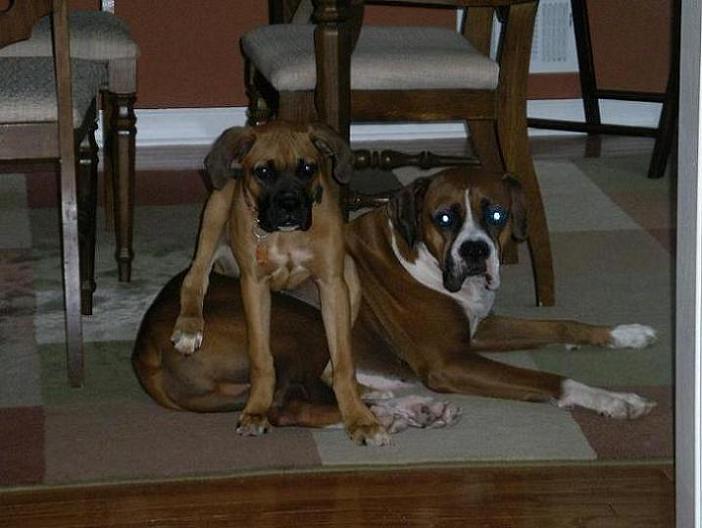 New Sister - Sasha