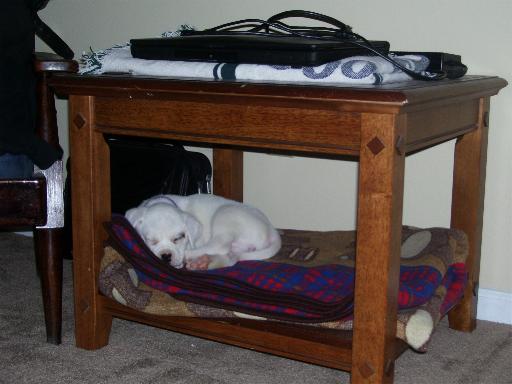New sleeping spot