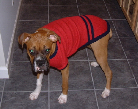 New Sweater