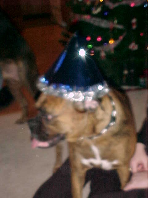 New Years Hat!!