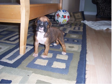 Newborn Darlin - Such a tough girl!