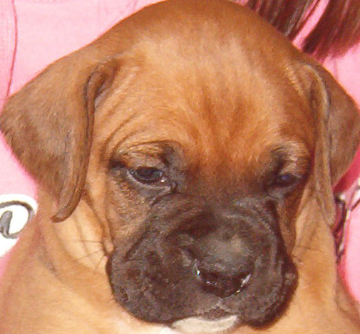Newest edition to the family