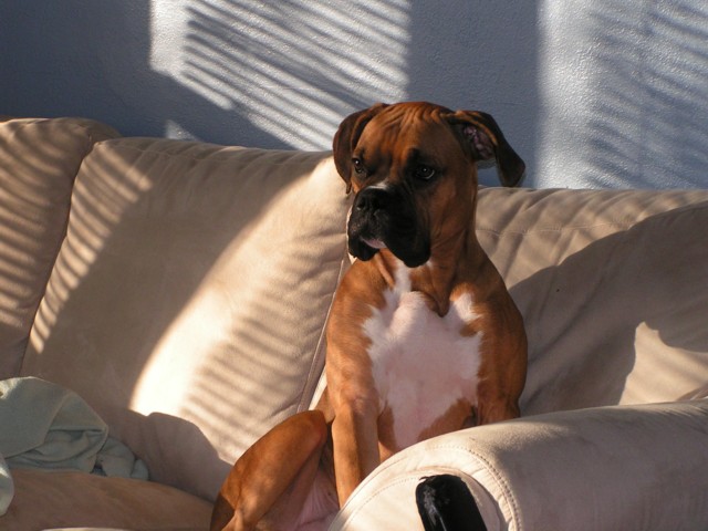 Newest picture of Bitty